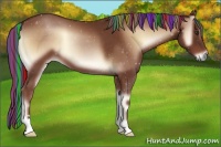 Horse Color:Painted Red Onyx 