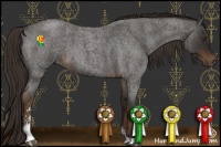 Horse Color:Liver Red Roan Sabino 