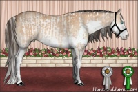 Horse Color:White Spotted Perlino  and Buckskin Roan Splash 