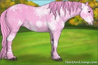 Horse Color:Watercolor Black Ice 