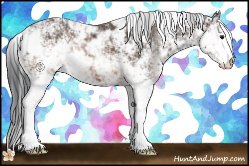 Horse Color:Brown Sabino