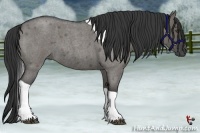 Horse Color:Grullo Roan Tobiano