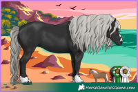 Horse Color:Liver Chestnut Mushroom 