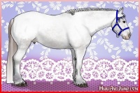 Horse Color:Midnight Brown Snowcap