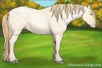 Horse Color:Buckskin Roan Pearl and Buckskin Roan Pearl