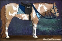 Horse Color:White Spotted Brown Pearl 