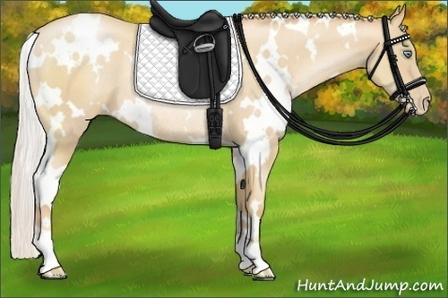 Horse Color:White Spotted Silver Classic Champagne Pearl Rabicano