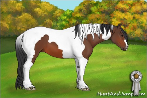 Horse Color:Bay Tobiano 