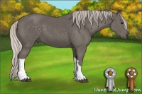 Horse Color:Silver Black 