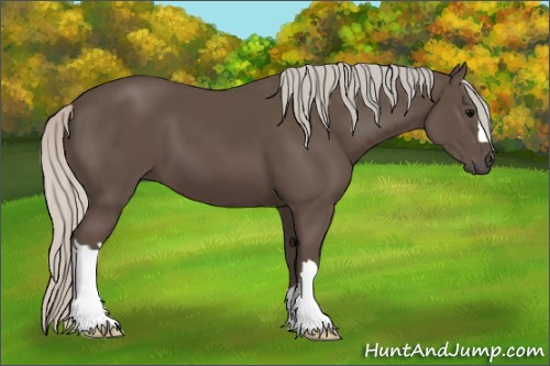 Horse Color:Silver Black
