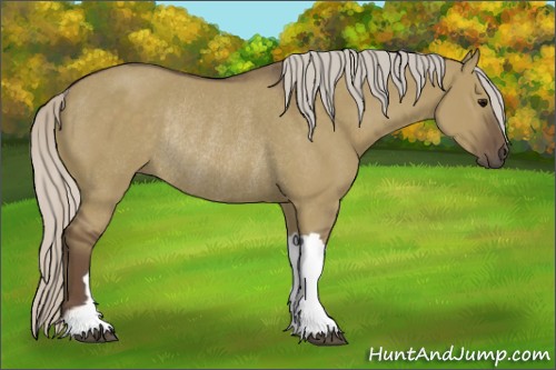 Horse Color:Silver Grullo Rabicano 