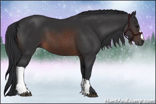 Horse Color:Brown 