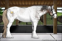 Horse Color:White Spotted Liver Chestnut Sabino Varnish