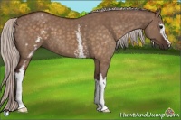 Horse Color:White Spotted Chocolate Silver Brown Dun