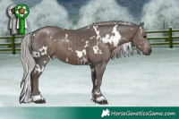 Horse Color:White Spotted Silver Black 