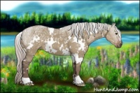 Horse Color:White Spotted Silver Grullo Ice
