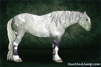 Horse Color:Watercolor White Spotted Silver Black Ice 