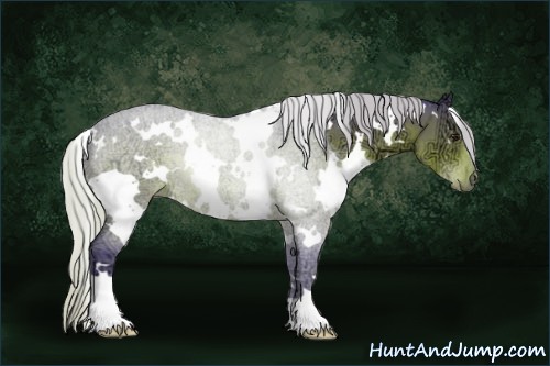 Horse Color:Watercolor White Spotted Silver Brown Ice 