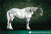 Horse Color:Watercolor White Spotted Silver Brown Ice 