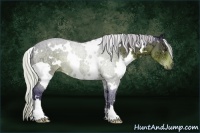 Horse Color:Watercolor White Spotted Silver Brown Ice 