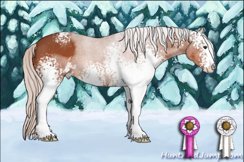 Horse Color:White Spotted Silver Brown Sabino 