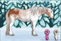 Horse Color:White Spotted Silver Brown Sabino 