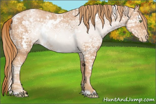 Horse Color:White Spotted Gold Champagne Ice Appaloosa 