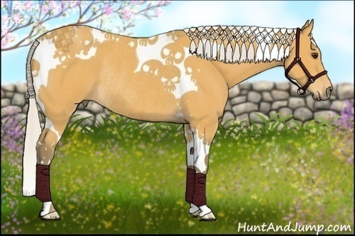 Horse Color:Silver Buckskin Tobiano Rabicano