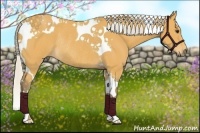 Horse Color:Silver Buckskin Tobiano Rabicano