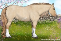 Horse Color:Red Dun Roan Splash Frame Rabicano 