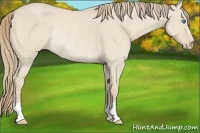 Horse Color:Smoky Creme Dun Rabicano 