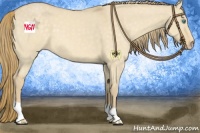Horse Color:Perlino Dun