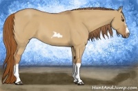 Horse Color:Red Dun Roan Splash Frame Rabicano 