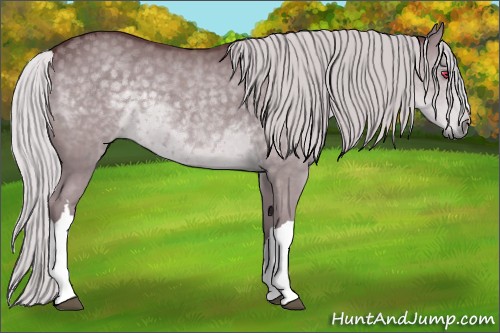 Horse Color:Chocolate Silver Grullo Chinchilla