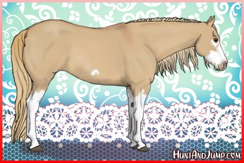 Horse Color:Red Dun Roan Splash Frame Rabicano 