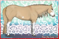 Horse Color:Red Dun Roan Splash Frame Rabicano 