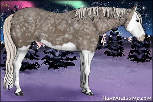 Horse Color:Silver Black Ice Splash Appaloosa 