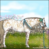 Horse Color:Red Onyx Roan Near Leopard 