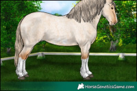 Horse Color:Red Dun Roan Splash Frame Rabicano 