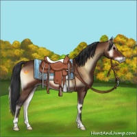 Horse Color:Brown Onyx