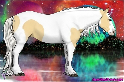 Horse Color:Palomino Splash Tobiano