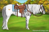 Horse Color:Smoky Grullo Splash Tobiano 