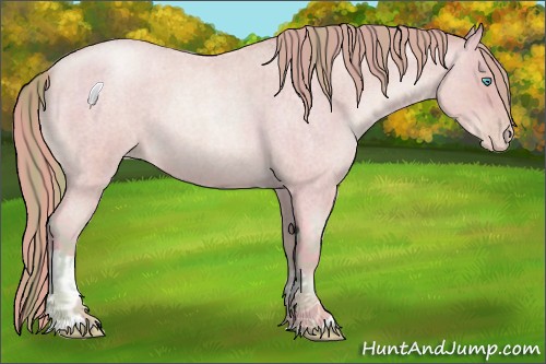 Horse Color:Watercolor Buckskin Roan Pearl  and Watercolor Buckskin Roan Pearl 