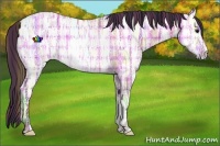 Horse Color:Plaid Bay Ice Dun Rabicano