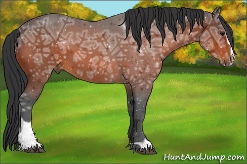 Horse Color:Bay Ice Sabino 