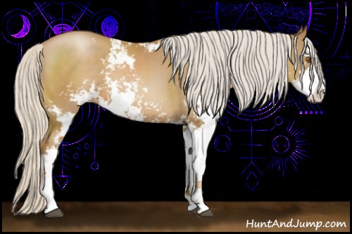 Horse Color:Silver Black Pearl Sabino 