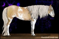 Horse Color:Silver Black Pearl Sabino 