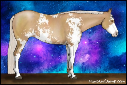 Horse Color:Silver Black Pearl Sabino 