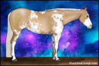 Horse Color:Silver Black Pearl Sabino 