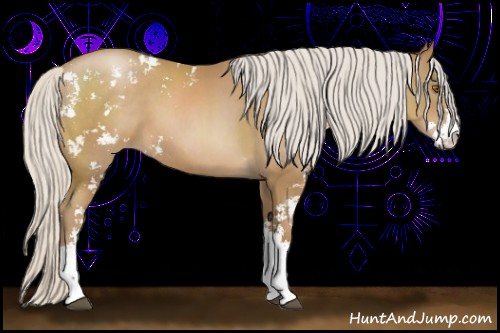 Horse Color:Silver Black Pearl Sabino 